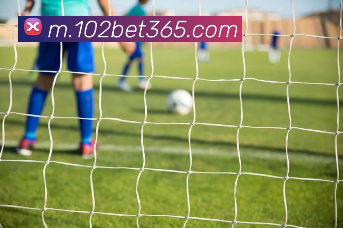 bet365中国官网品牌故事